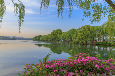 詩(shī)畫(huà)西湖·春曉蘇堤——邀您共赴一場(chǎng)千年風(fēng)雅的春日之約